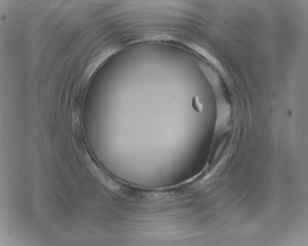 X0000075861281200610061928