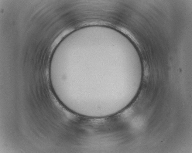 X0000075861282200610061928