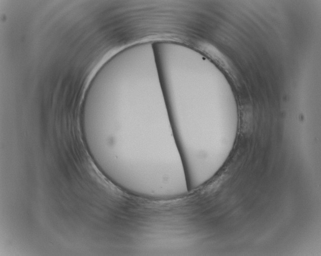 X0000075861284200610061928