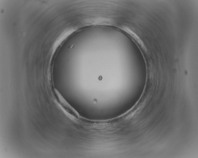 X0000075861285200610061928