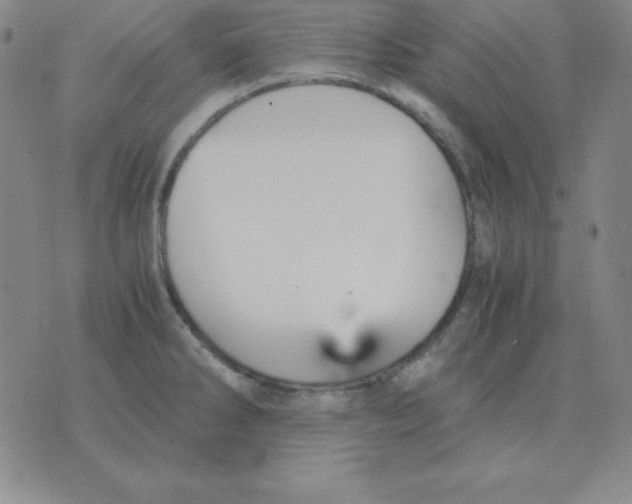 X0000075861286200610061928