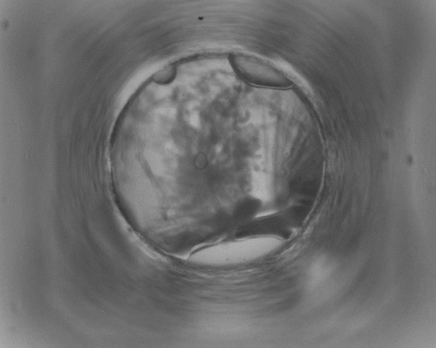 X0000075861287200610061928