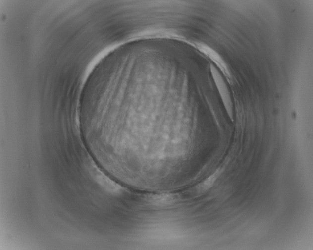 X0000075861288200610061928