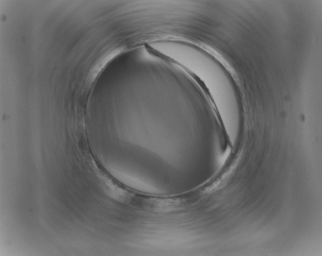 X0000075861289200610061928