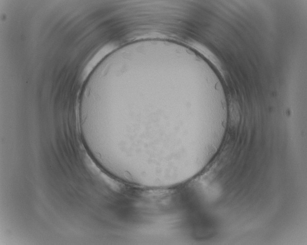 X0000075861290200610061928