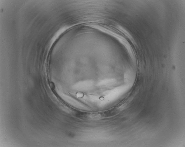 X0000075861291200610061928