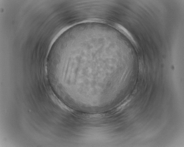 X0000075861292200610061928