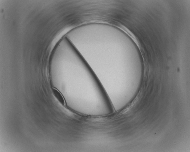 X0000075861293200610061928