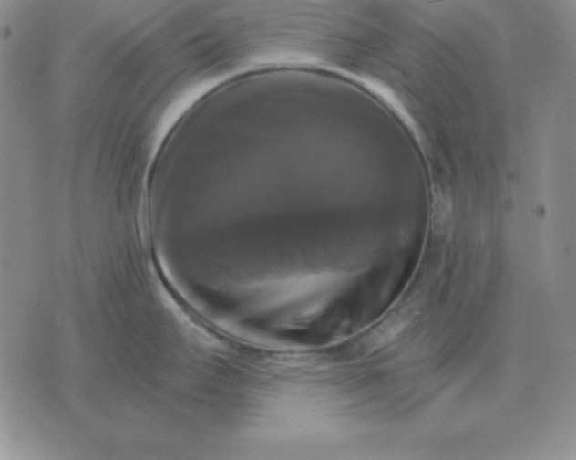 X0000075861295200610061928