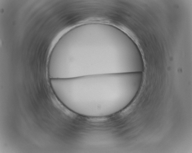 X0000075861296200610061928