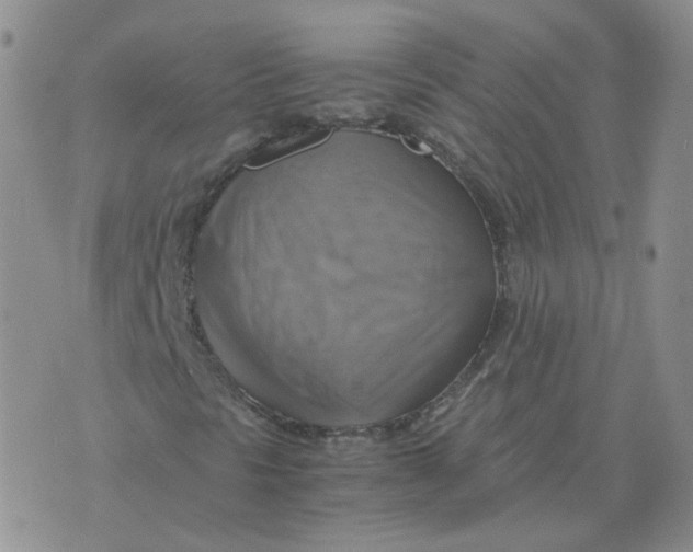 X0000075861297200610061927