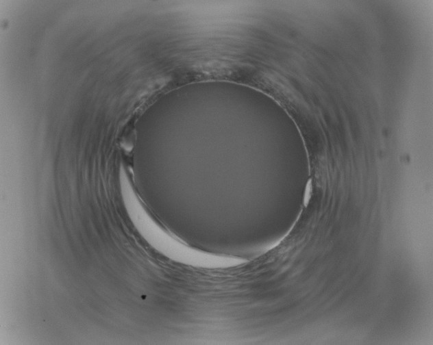 X0000075861298200610061927