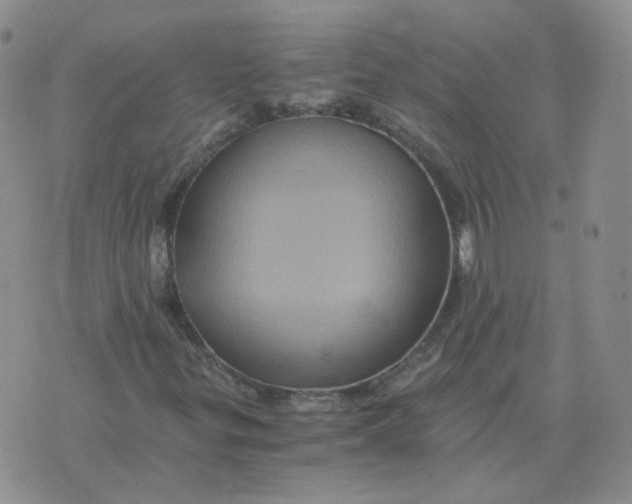 X0000075861299200610061927