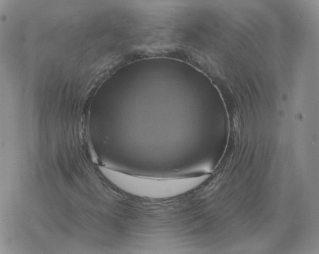 X0000075861300200610061927