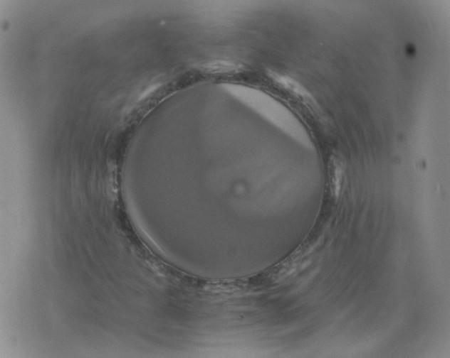 X0000075861301200610061927