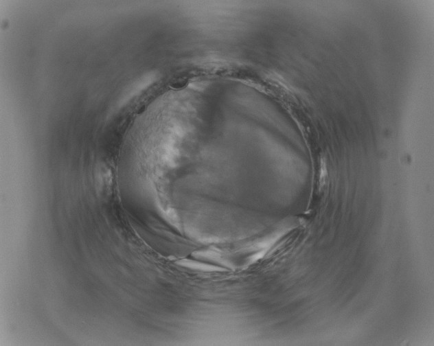 X0000075861302200610061927