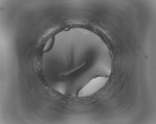 X0000075861303200610061927