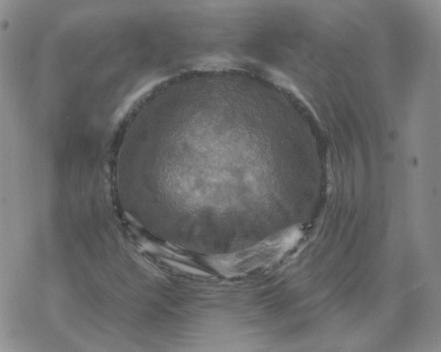 X0000075861304200610061927