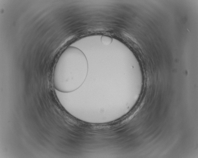 X0000075861305200610061927