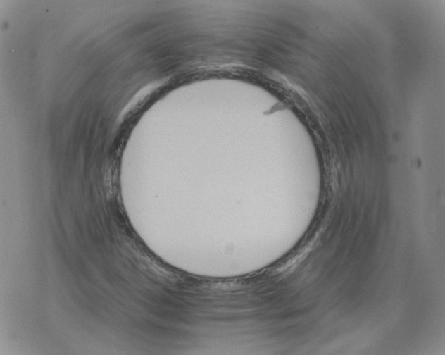 X0000075861306200610061927