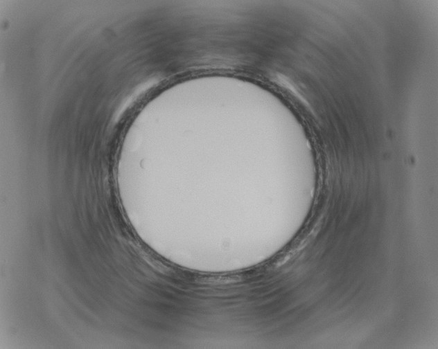 X0000075861307200610061927