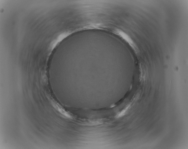 X0000075861308200610061927