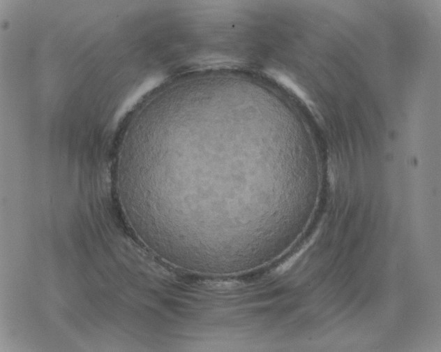 X0000075861309200610061927