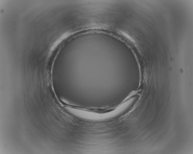 X0000075861310200610061927