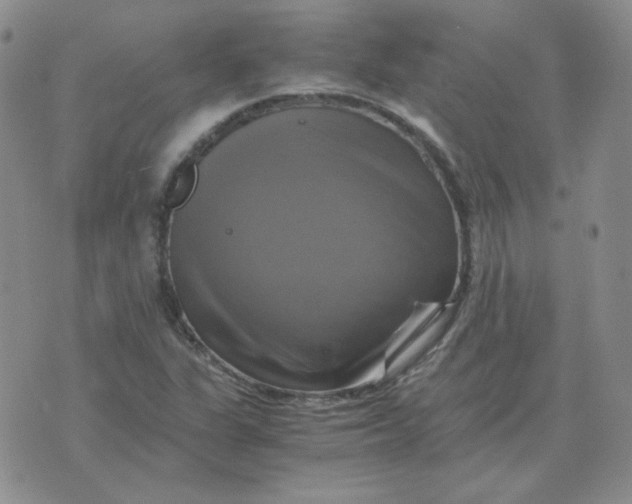 X0000075861311200610061927