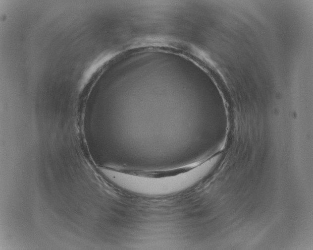 X0000075861312200610061927