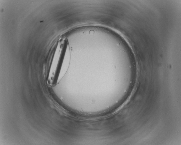 X0000075861314200610061927