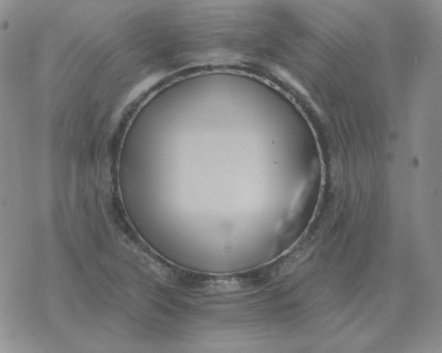 X0000075861315200610061927