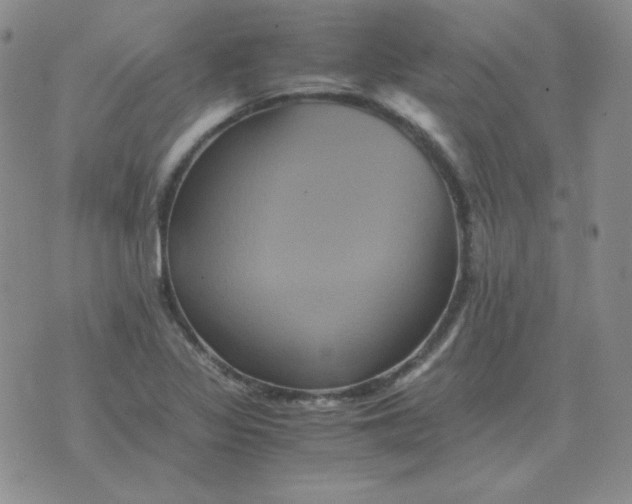 X0000075861317200610061927