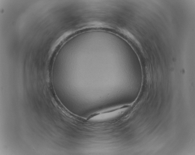 X0000075861318200610061927