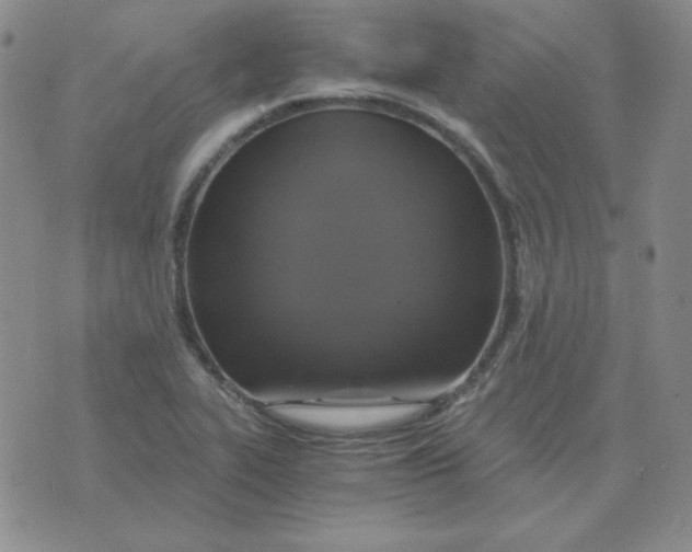 X0000075861319200610061927