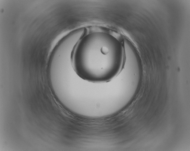 X0000075861320200610061927