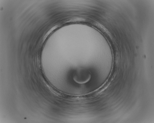 X0000075861321200610061927