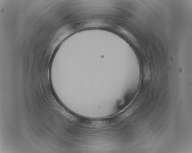 X0000075861322200610061927