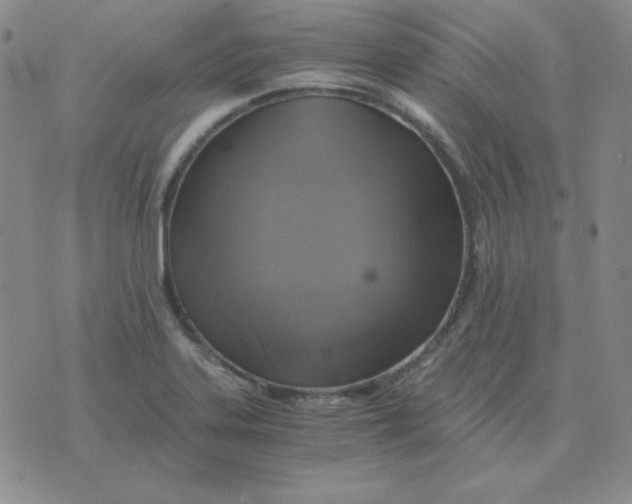 X0000075861323200610061927