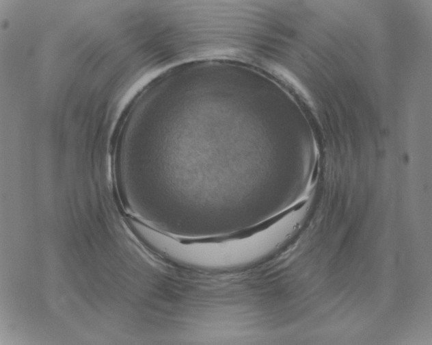 X0000075861324200610061927