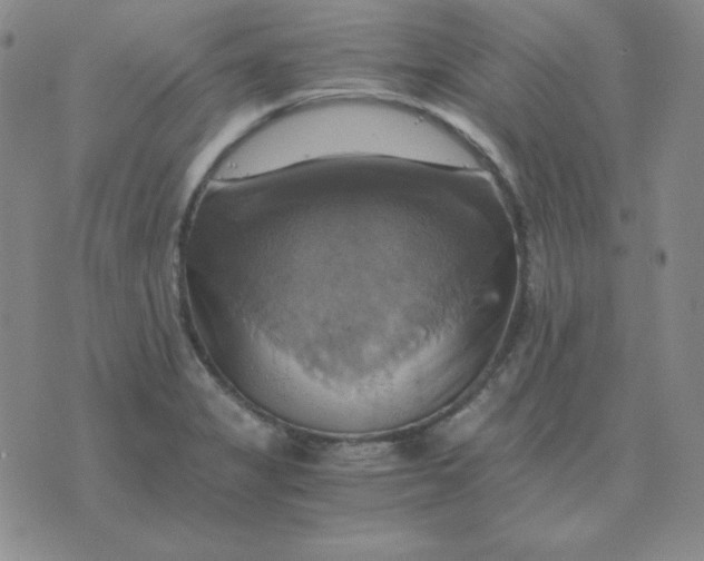 X0000075861325200610061927