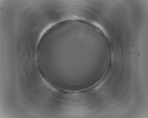 X0000075861326200610061927