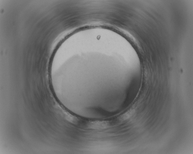 X0000075861327200610061927