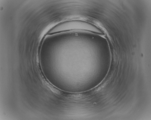 X0000075861328200610061927