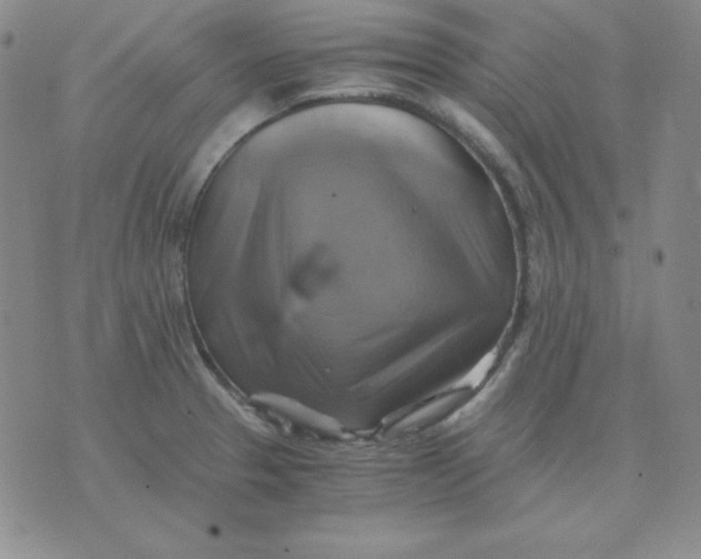 X0000075861329200610061927