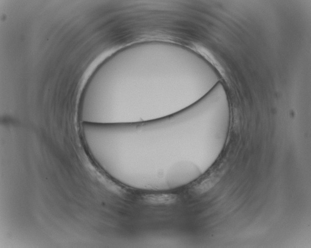 X0000075861331200610061927