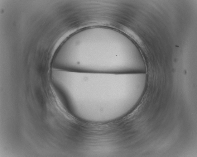 X0000075861332200610061927