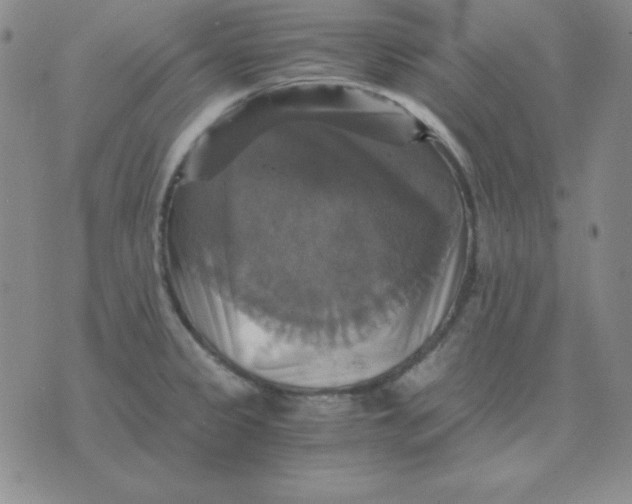 X0000075861333200610061927