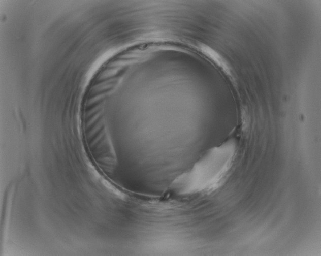 X0000075861334200610061927