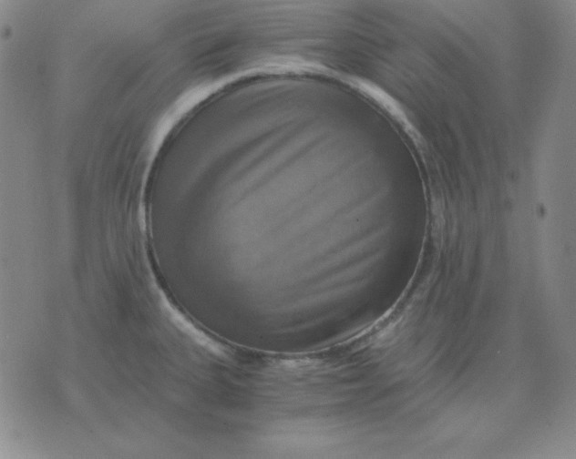 X0000075861335200610061927